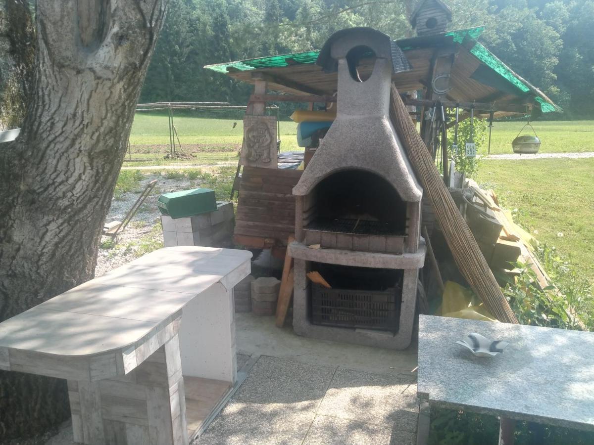 Vila Hiska Zeleni Raj Podnart Exteriér fotografie