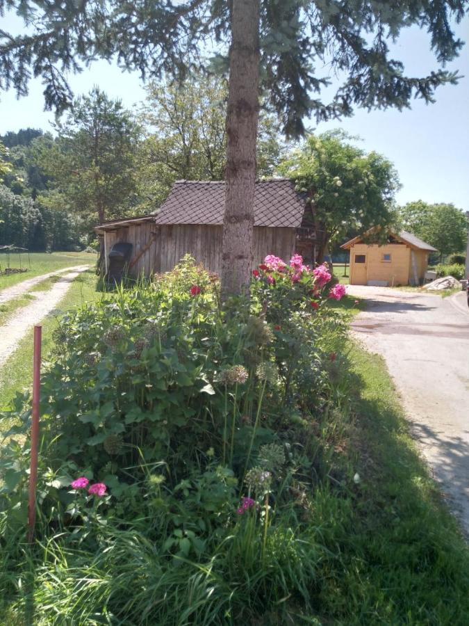 Vila Hiska Zeleni Raj Podnart Exteriér fotografie